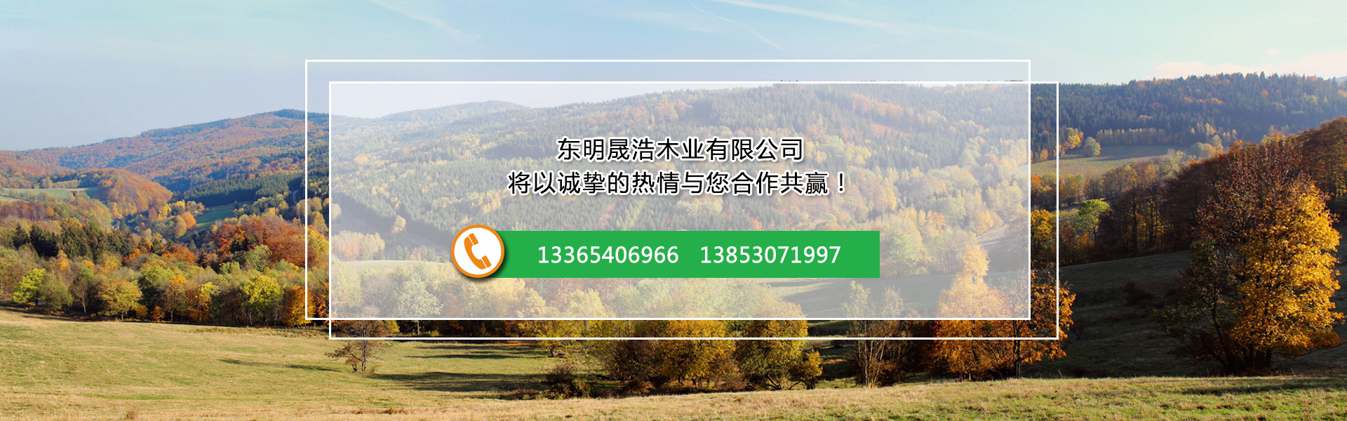 东明晟浩木业有限公司